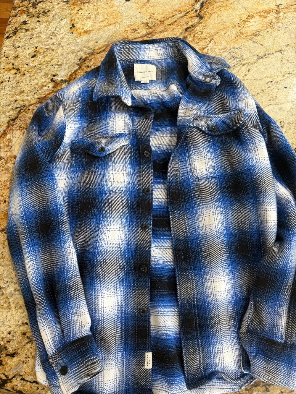 American Eagle Outfitters Blue and White Plaid Button-Down Shirt